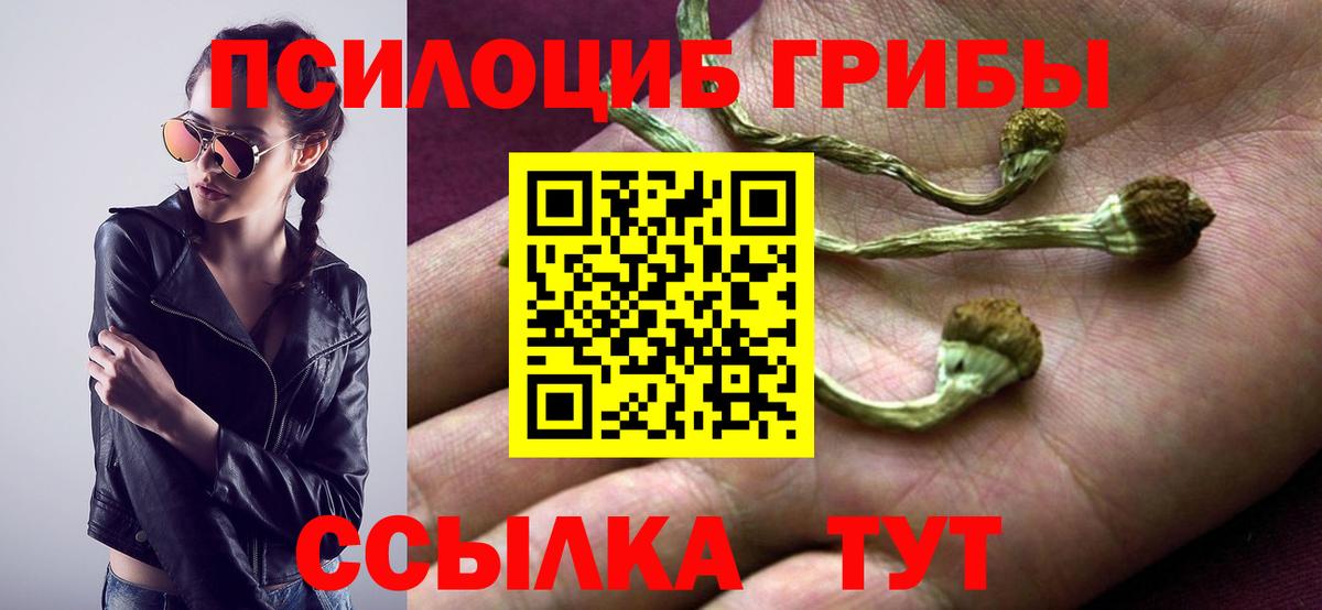 Саянск  Галлюциногенные грибы мицелий  Вход с VPN 